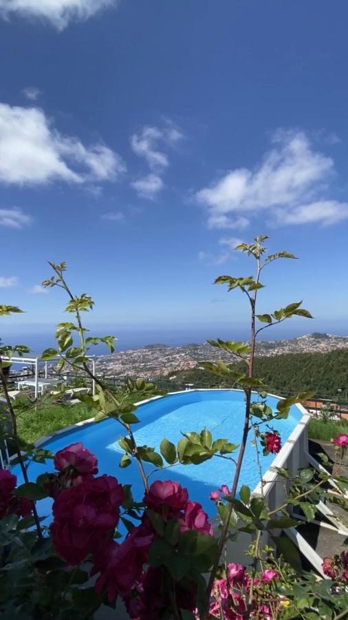 Studio Geek Villa - Open Space - 5M From 5 Top Attractions - Pool All Year Round, Dining Pergola, Barbecue - Funchal Matrix Holiday Home Esterno foto